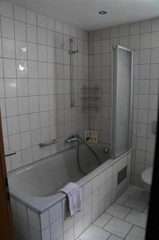 Nibelungen - Ferienwohnungen - Worms - Apartments Екстериор снимка